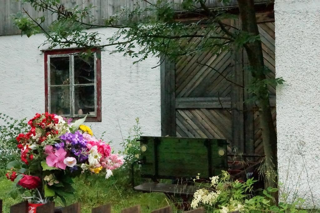 Gasthof Pension Gruner Anger Hallstatt Exterior photo